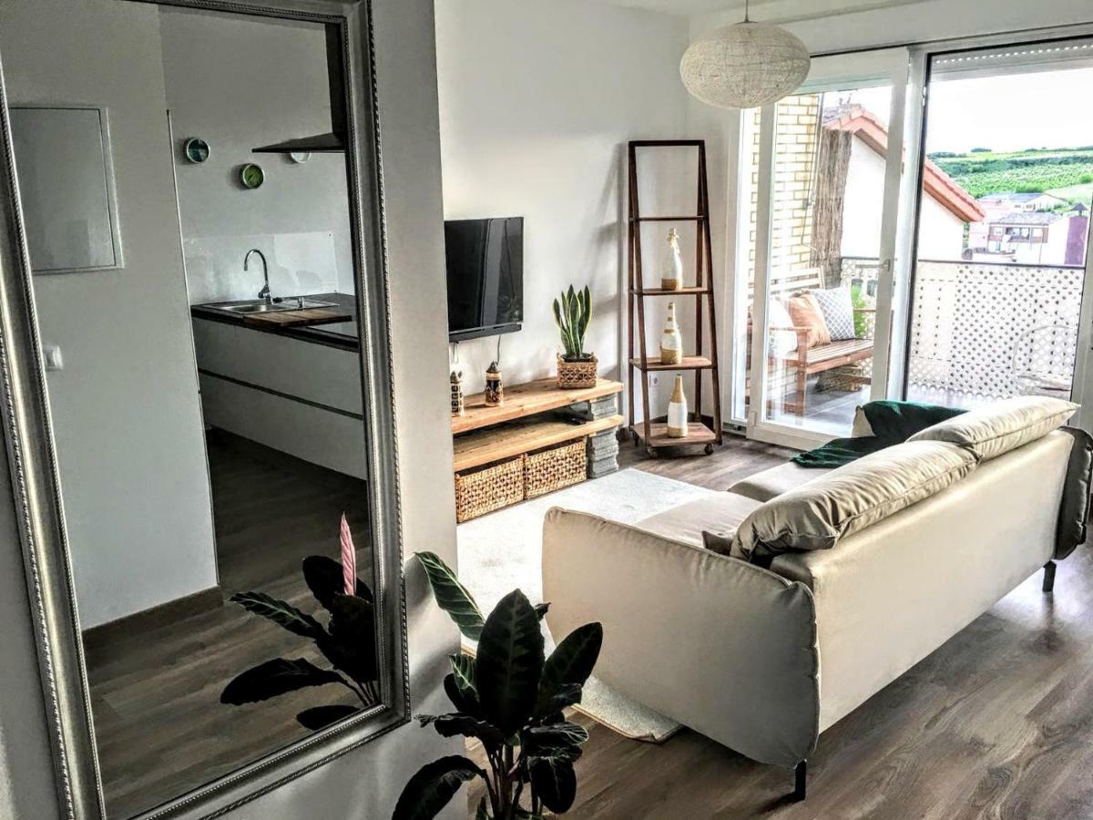 Apartamento Gaztainondoak Lanciego Extérieur photo